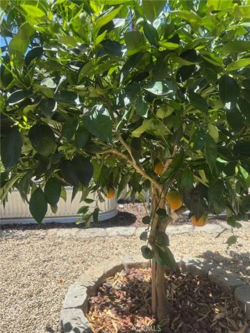 24519 Fair Oaks Lane, Menifee, CA 92584