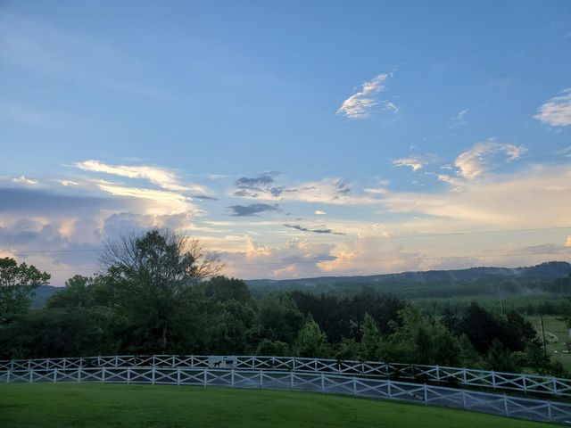 3540 DAMON RD, Michie, TN 38357