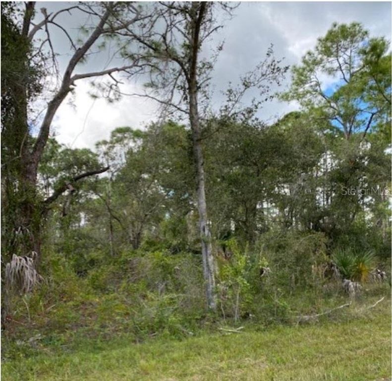487 HALLORAN STREET, Port Charlotte, FL 33953