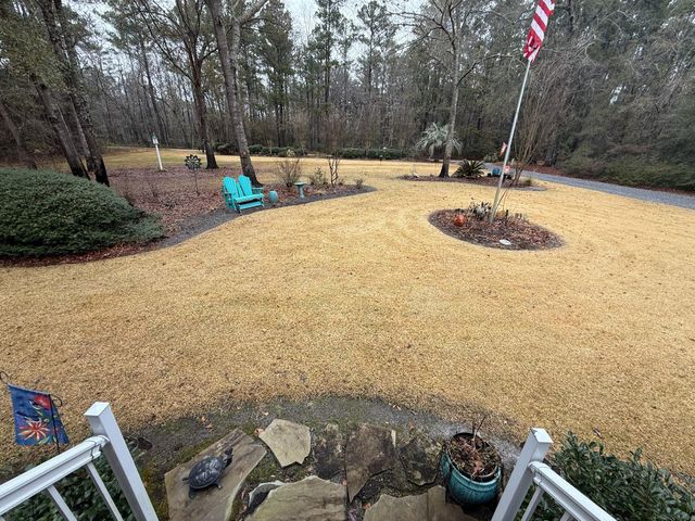 8995 Greenwood, Adams Run, SC 29426