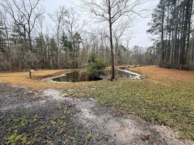 8995 Greenwood, Adams Run, SC 29426