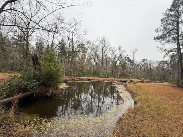 8995 Greenwood, Adams Run, SC 29426