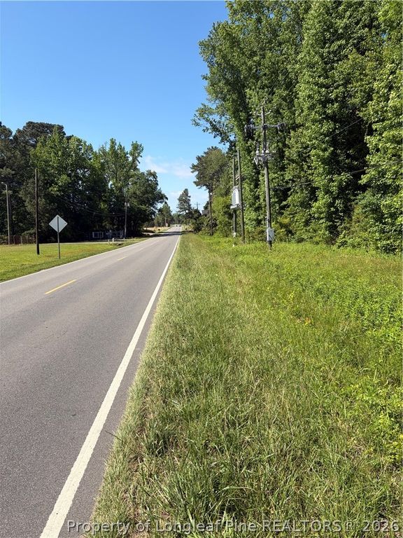 Lemon Springs Road, Sanford, NC 27332 — photo 3