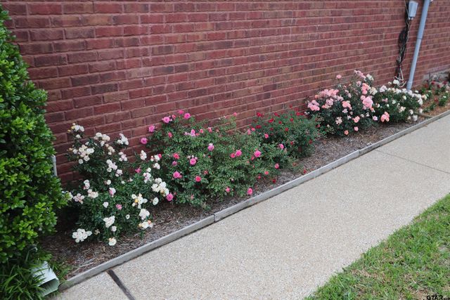 3407 Storey Lake Drive, Tyler, TX 75707