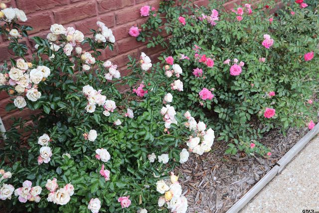 3407 Storey Lake Drive, Tyler, TX 75707