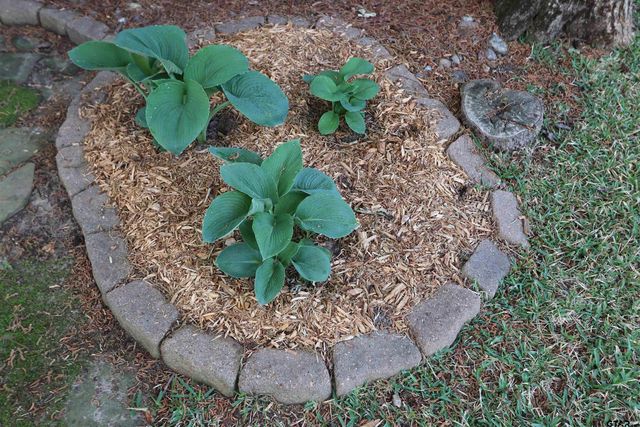 3407 Storey Lake Drive, Tyler, TX 75707