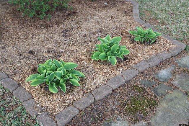 3407 Storey Lake Drive, Tyler, TX 75707