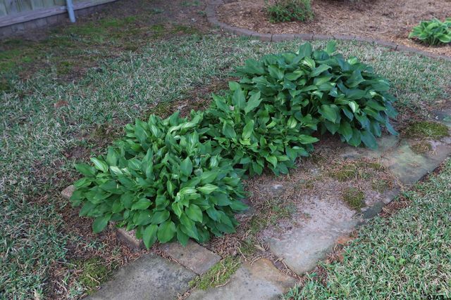 3407 Storey Lake Drive, Tyler, TX 75707