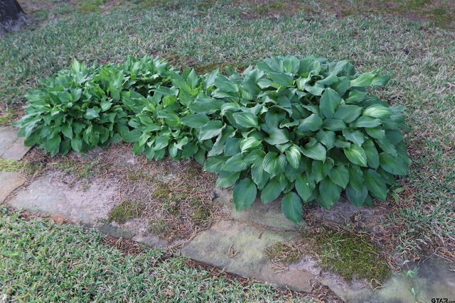 3407 Storey Lake Drive, Tyler, TX 75707