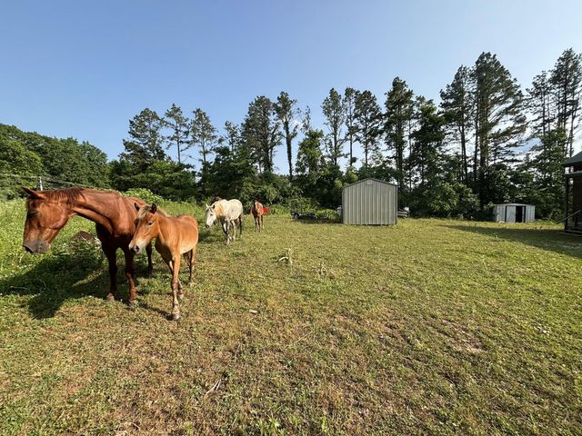 15047 Old West Eminence Road, Eminence, MO 65466