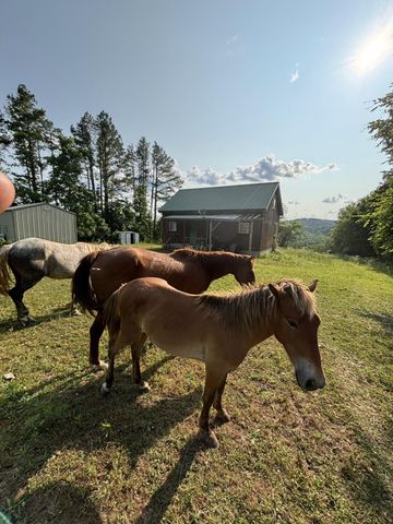 15047 Old West Eminence Road, Eminence, MO 65466