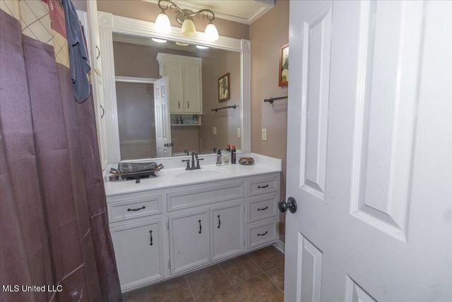 313 Pelahatchie Shore Drive, Brandon, MS 39047