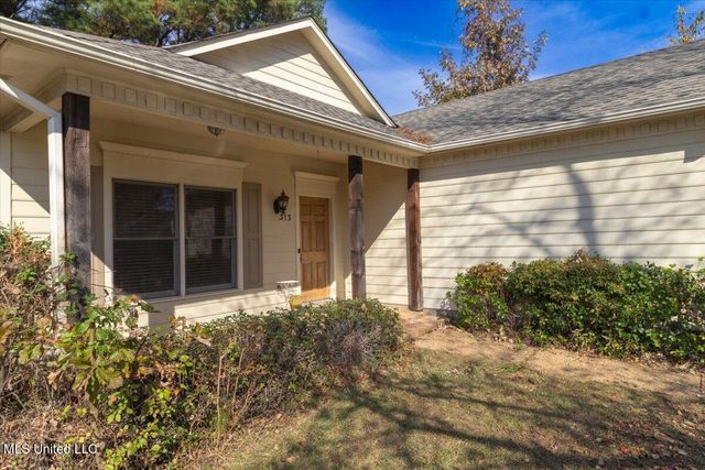 313 Pelahatchie Shore Drive, Brandon, MS 39047