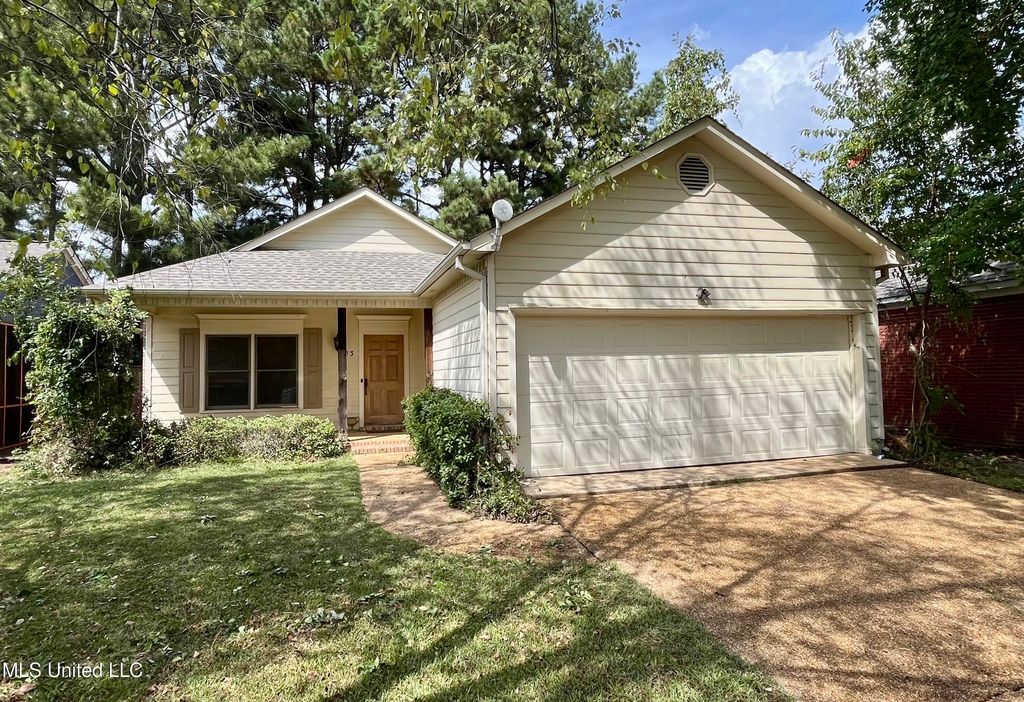 313 Pelahatchie Shore Drive, Brandon, MS 39047