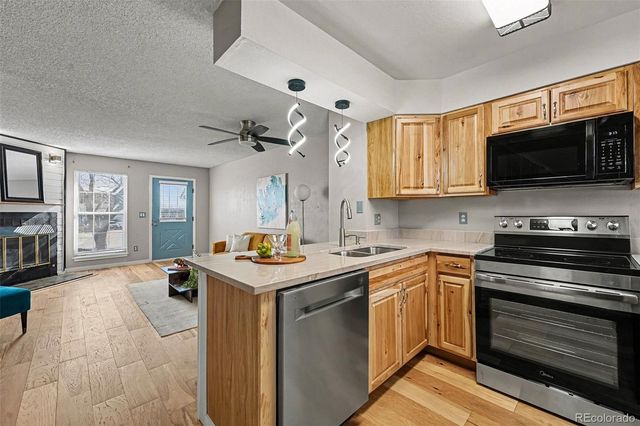 10928 Bayfield Way, Parker, CO 80138