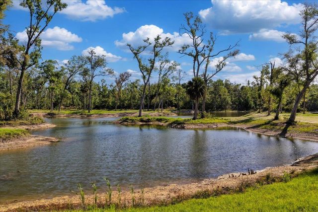 0 NW Roys Road, Steinhatchee, FL 32359