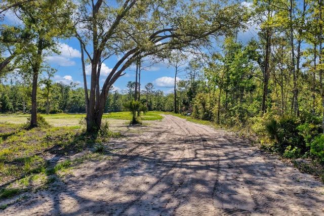 0 NW Roys Road, Steinhatchee, FL 32359
