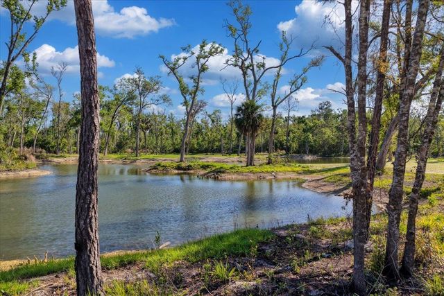 0 NW Roys Road, Steinhatchee, FL 32359