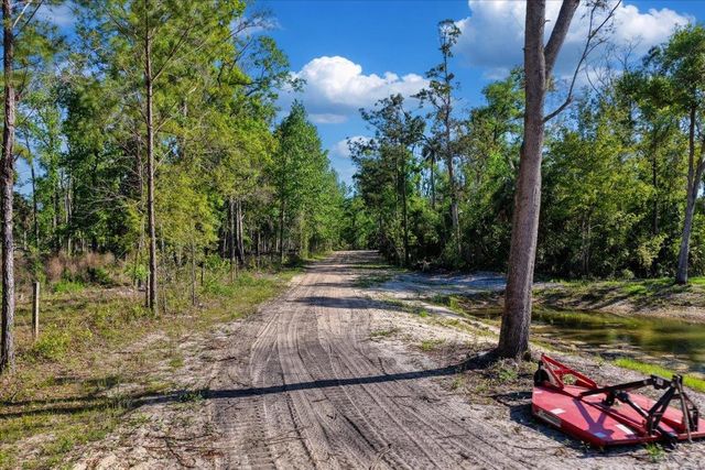 0 NW Roys Road, Steinhatchee, FL 32359