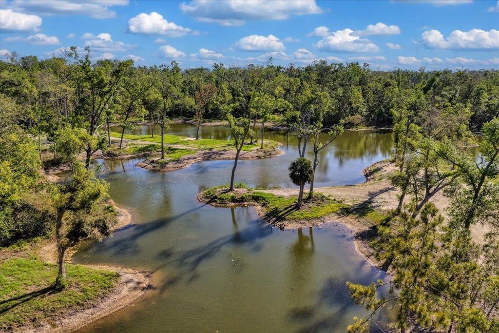 0 NW Roys Road, Steinhatchee, FL 32359