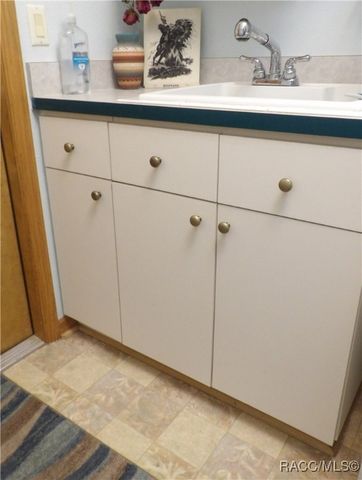 3452 W Birds Nest Drive, Beverly Hills, FL 34465