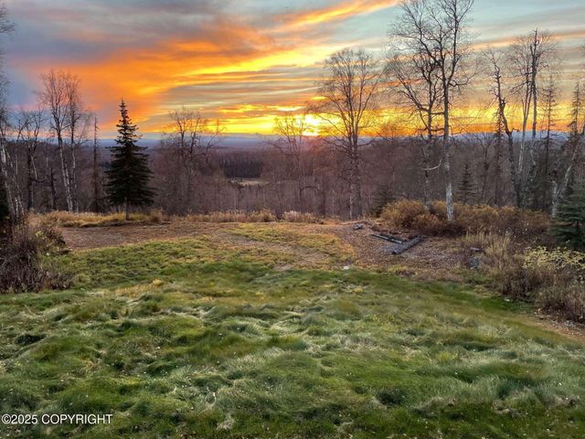 6151 E Road Way, Willow, AK 99688