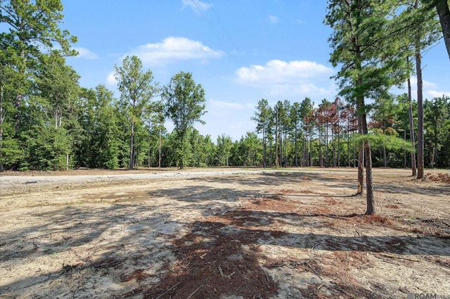36764 Weiss Rd, Walker, LA 70785