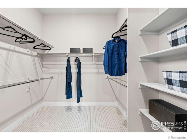 3016 Windward Way, Fort Collins, CO 80524