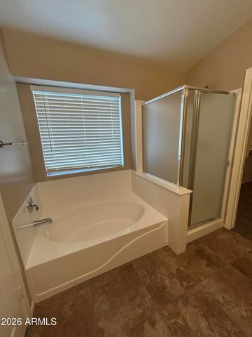 1731 E MELANIE Street, San Tan Valley, AZ 85140