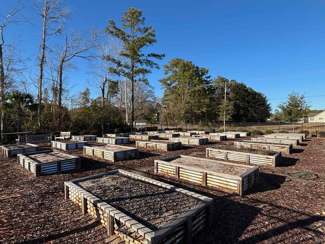 523 Salty Pine Dr., Myrtle Beach, SC 29588