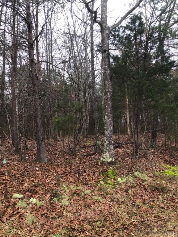 Image 2 of property listing at 0 3B Mohawk, Gladys, VA 24554