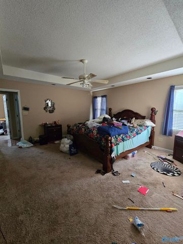 201 Arrowfeather Drive, Meridianville, AL 35759