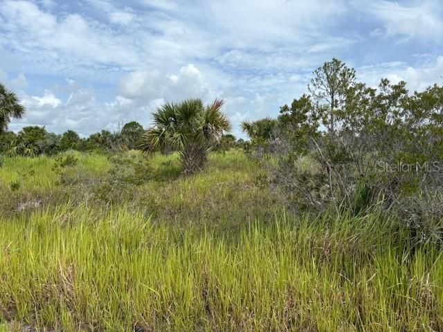 2239 UTOPIA AVENUE SW, Palm Bay, FL 32908