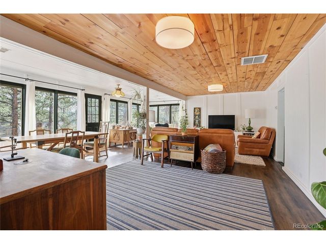 28587 Park Ave, Pine, CO 80470