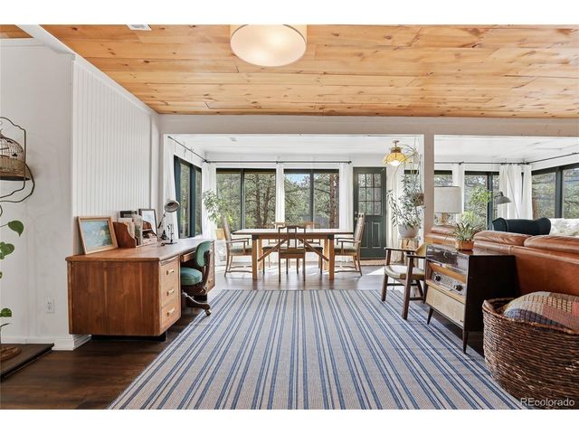 28587 Park Ave, Pine, CO 80470