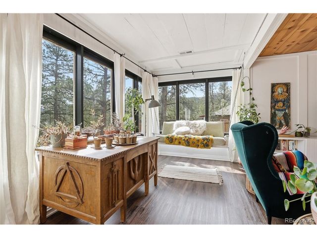 28587 Park Ave, Pine, CO 80470