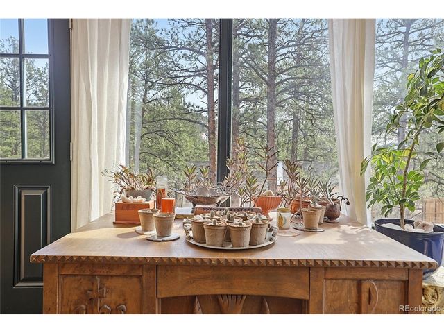 28587 Park Ave, Pine, CO 80470