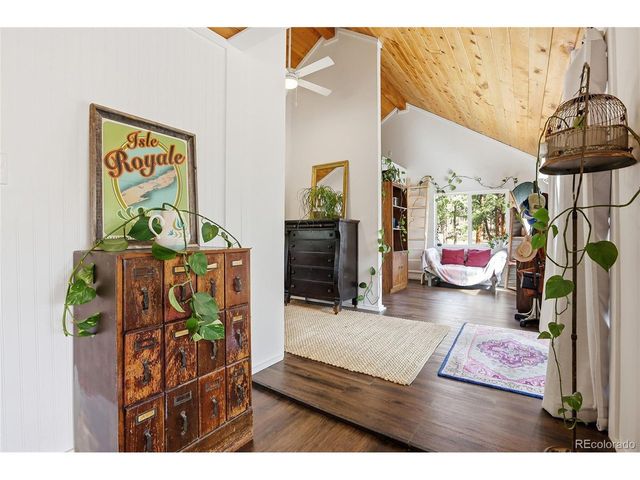 28587 Park Ave, Pine, CO 80470