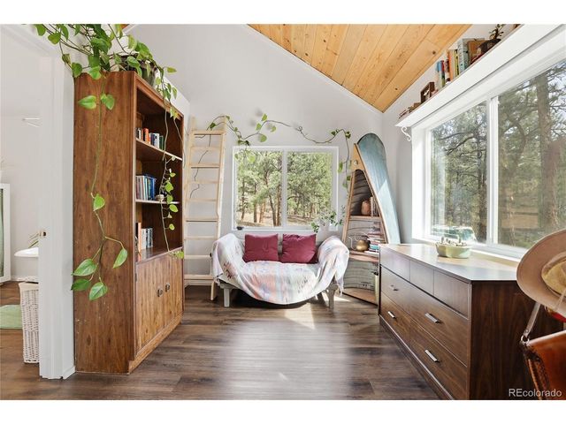 28587 Park Ave, Pine, CO 80470