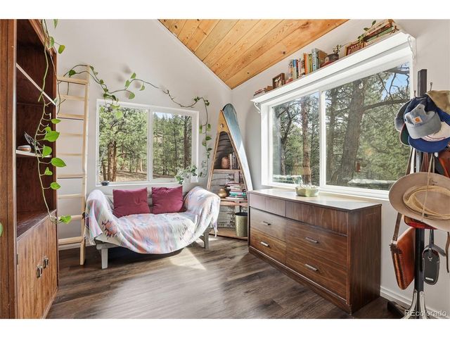 28587 Park Ave, Pine, CO 80470