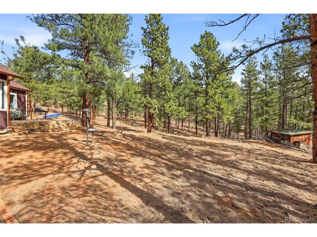 28587 Park Ave, Pine, CO 80470