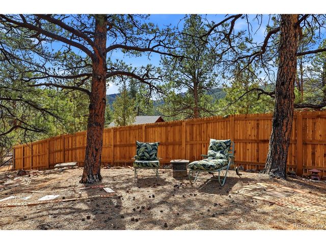 28587 Park Ave, Pine, CO 80470