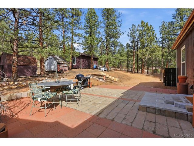 28587 Park Ave, Pine, CO 80470