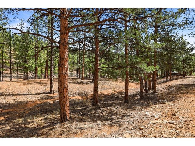 28587 Park Ave, Pine, CO 80470