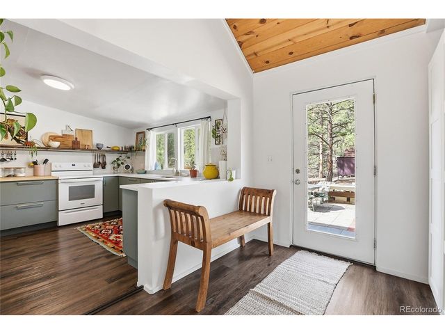 28587 Park Ave, Pine, CO 80470