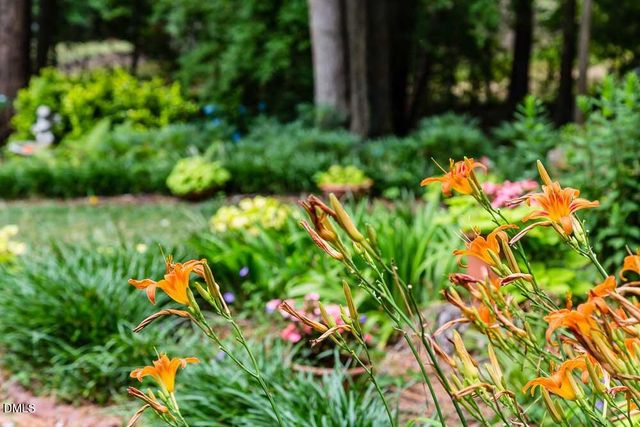 2 Foxridge Road, Chapel Hill, NC 27514