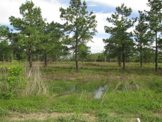0 Morelos Road, Baytown, TX 77521