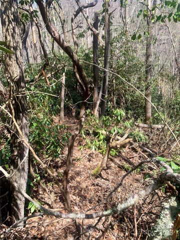 54 Hickory Drive Lot 54, Sapphire, NC 28774