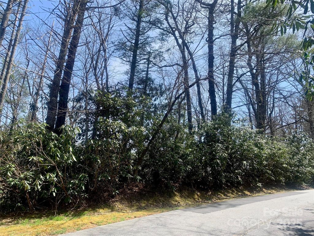 54 Hickory Drive Lot 54, Sapphire, NC 28774