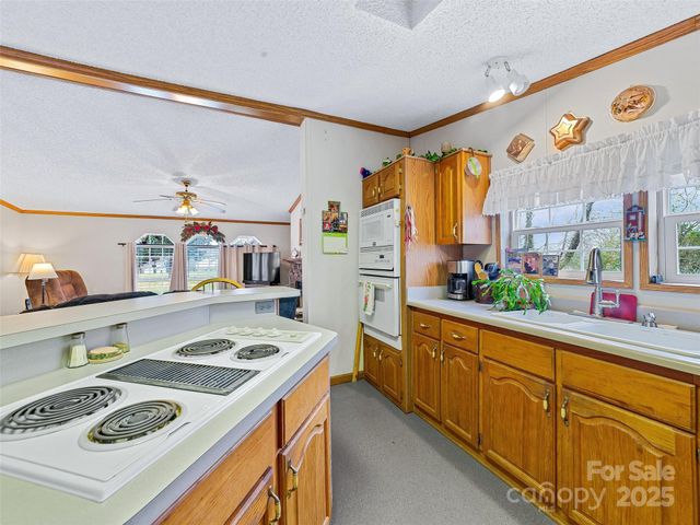 155 Maple Ridge Road, Candler, NC 28715